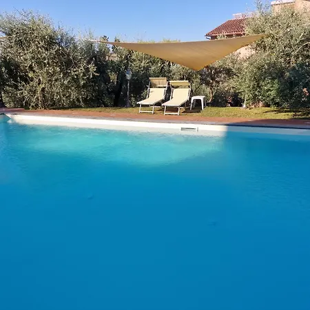 Guest house Oliveta 3*