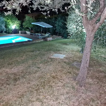 Oliveta Guest house 3*