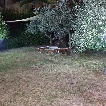 Oliveta San Gimignano