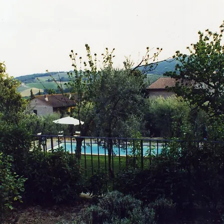 Oliveta Guest house 3*