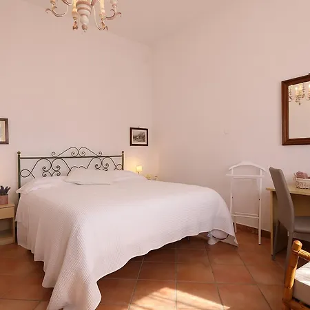 Guest house Oliveta 3*